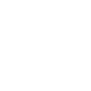 dsgvo_icon